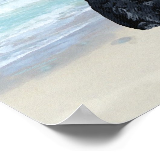 Schottland am Strand Poster (Ecke)