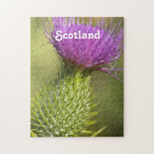Schottland-Distel Puzzle