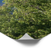 Schottland - Eilean Donan Castle Poster (Ecke)