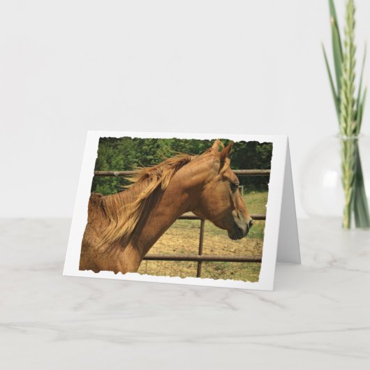 Schottland, Geburtstag Karte (Vorderseite)