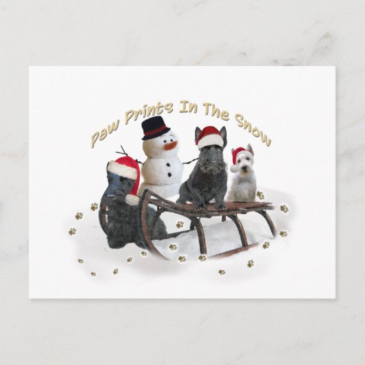 Schottland hat Zeit zum Spielen Postkarte (Vorderseite)