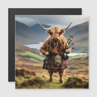 Schottland Highland Cow Bagpiper
