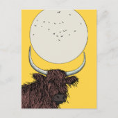 Schottland Highland Cow Postkarte (Vorderseite)