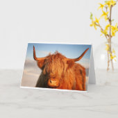 Schottland Highland Cow - Schottland Karte (Gelbe Blume)