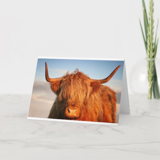 Schottland Highland Cow - Schottland Karte (Vorderseite)