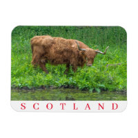 Schottland Highland Kuh Kühlschrankmagnet