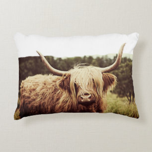 Schottland Highland Long Hairs Cow Dekokissen