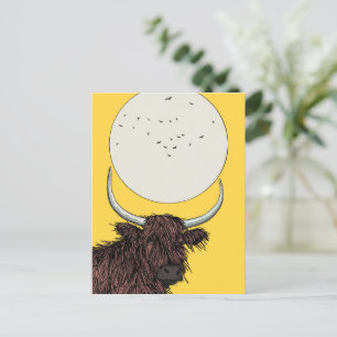 Schottland Highland-Rind Postkarte