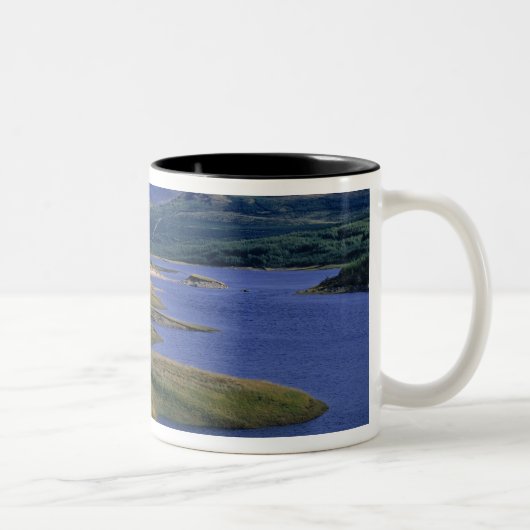 Schottland, Highland, Wester Ross, Loch Garry. Ein Zweifarbige Tasse (Rechts)