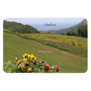 Schottland, Highlands, Ozean, Blume, Fotografie Magnet