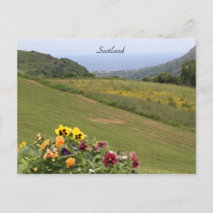 Schottland, Highlands, Ozean, Blume, Fotografie Postkarte