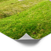 Schottland Highlands Thistle Landscape Poster (Ecke)