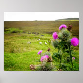 Schottland Highlands Thistle Landscape Poster (Vorne)