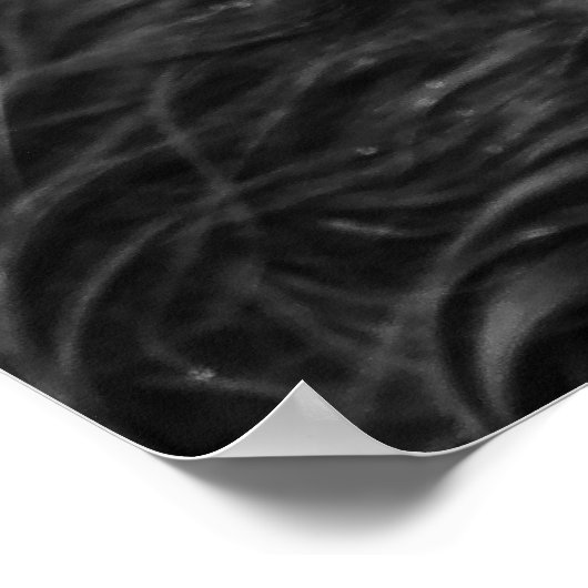 Schottland-Hochland-Kuh, Highlander, Highland Catt Poster (Ecke)