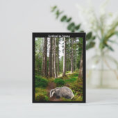 Schottland im Frühjahr Postkarte (Stehend Vorderseite)