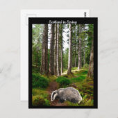 Schottland im Frühjahr Postkarte (Vorne/Hinten)