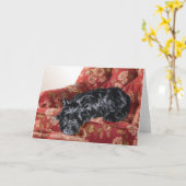 Schottland in einem großen roten Stuhl Karte (Gelbe Blume)