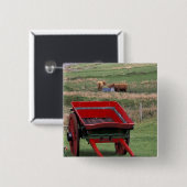 Schottland, Insel Skye, Kilmuir. Nutztiere Button (Vorne & Hinten)