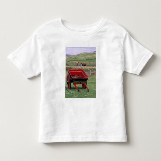 Schottland, Insel Skye, Kilmuir. Nutztiere Kleinkind T-shirt (Vorderseite)