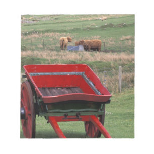Schottland, Insel Skye, Kilmuir. Nutztiere Notizblock