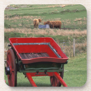 Schottland, Insel Skye, Kilmuir. Nutztiere Untersetzer