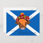 Schottland-Kuh mit Tartan-Kappe und Flagge Postkarte (Vorne/Hinten)