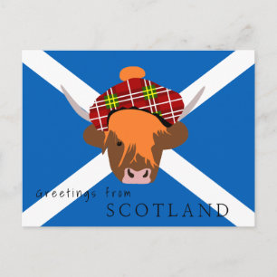 Schottland-Kuh mit Tartan-Kappe und Flagge Postkarte