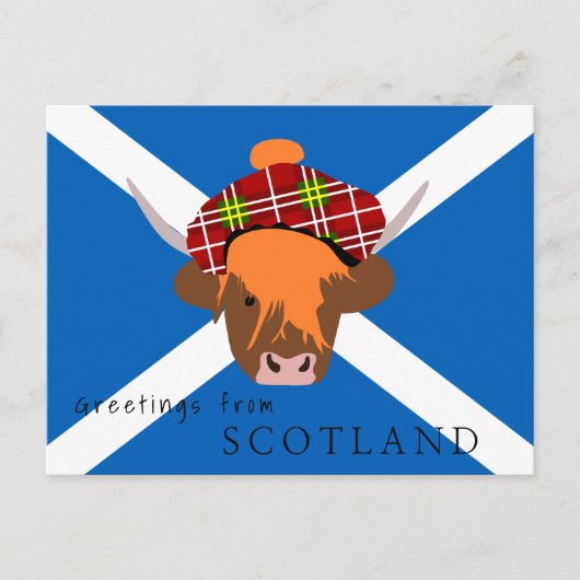 Schottland-Kuh mit Tartan-Kappe und Flagge Postkarte (Vorderseite)