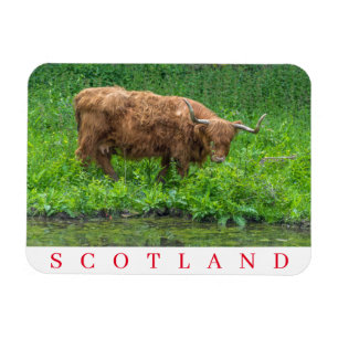 Schottland Kühlschrankmagnet Magnet