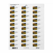 Schottland Landschaftlich Rolling Hills Landschaft (Vorne)