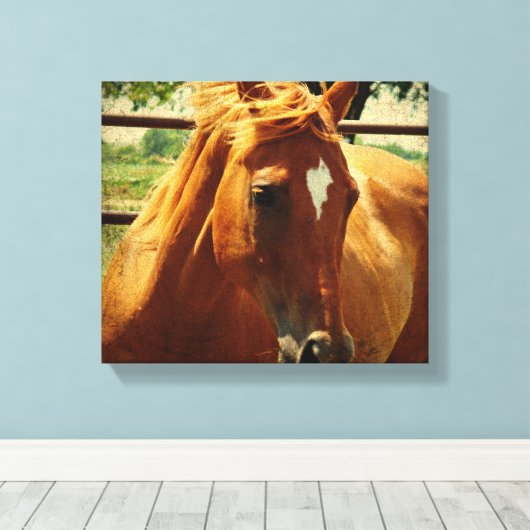 Schottland Leinwanddruck (Insitu (Holzboden))