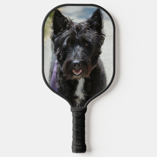 Schottland Pickleball Schläger (Vorderseite)