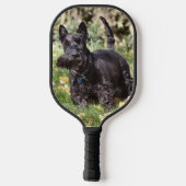 Schottland Pickleball Schläger (Rückseite)