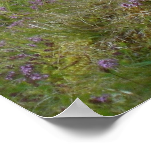 Schottland-Poster Poster (Ecke)