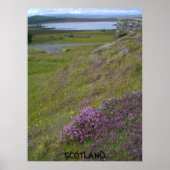 Schottland-Poster Poster (Vorne)