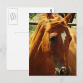 Schottland Postkarte (Vorne/Hinten)