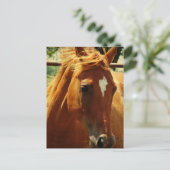 Schottland Postkarte (Stehend Vorderseite)