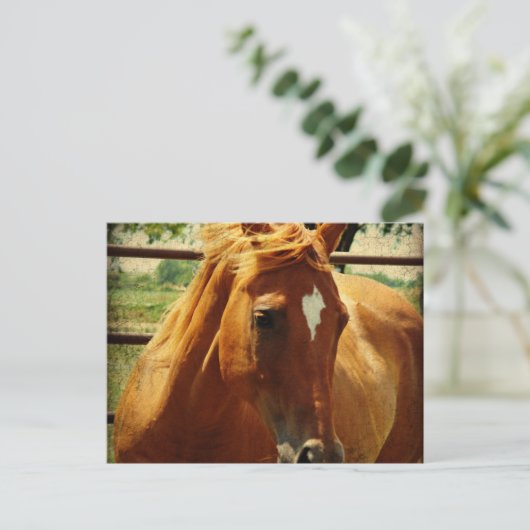 Schottland Postkarte (Stehend Vorderseite)