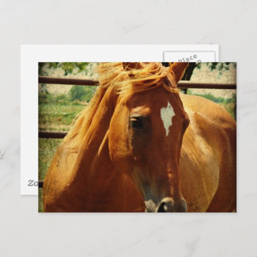 Schottland Postkarte (Vorne/Hinten)