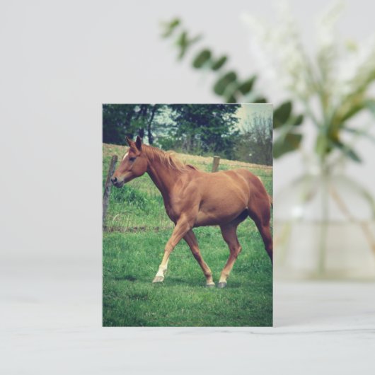 Schottland Postkarte (Stehend Vorderseite)