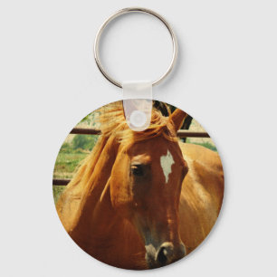 Schottland Schlüsselanhänger