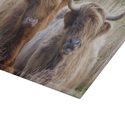 Schottland Schneidebrett (Ecke)