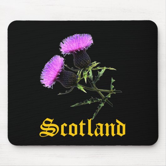 Schottland, thislte mousepad (Vorne)