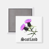 Schottland, Thistle Magnet (Vorderseite/Rückseite)