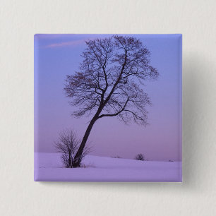 Schräger Baum im schneebedeckten Feld; Chippewa Co Button