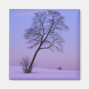 Schräger Baum im schneebedeckten Feld; Chippewa Co Magnet