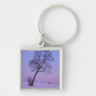 Schräger Baum im schneebedeckten Feld; Chippewa Co Schlüsselanhänger