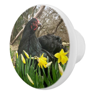 Schrank für schwarze Cochin ziehen yetrechts Keramikknauf