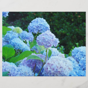 Schrappbuchpapier Blaue Hortensien Blumen Garten