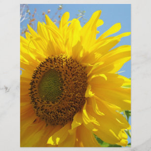 Schrappbuchpapier Gelbe Sonnenblume Garten